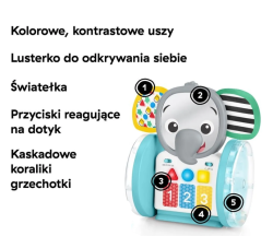 Baby Einstein Chase & Tap Earl interaktywny słonik 6 mies.+
