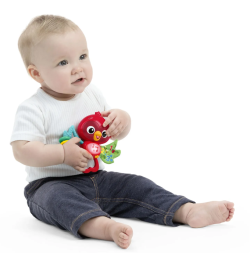 Baby Einstein Roxy’s Bright Flight muzyczny ptaszek 3 mies.+