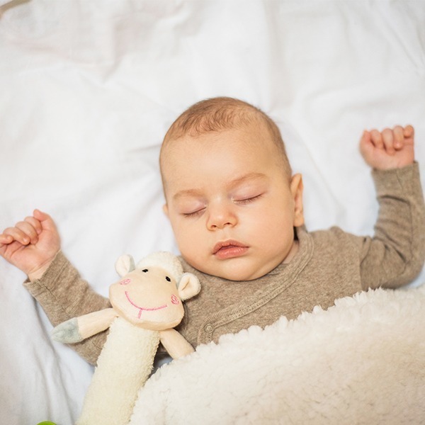Detal owieczki Babyono Sweet Lambie