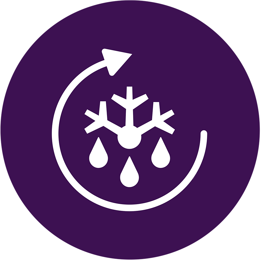 Symbol funkcji rozmrażania Philips Avent SCF358/00